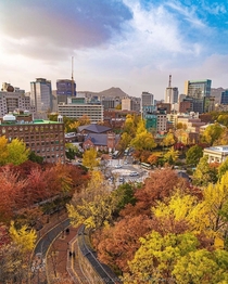 Autumn colors around a small roundabout in downtown Seoul South Korea 