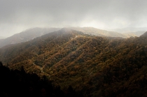 Autumn colors from Newfound Gap The Great Smoky Mountains National Park 