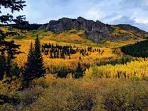 Autumn colors in Mt Evans wilderness in Colorado 