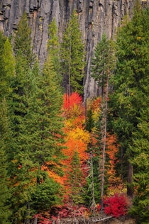 Autumn Colors on a Cliff Oregon  Instaericm