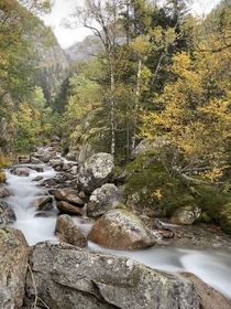 Autumn colour in the Pyrenees mountains 