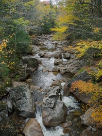 Autumn foliage around Flume Brook New Hampshire 