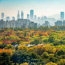 Autumn foliage of World Cup Park Seoul South Korea 