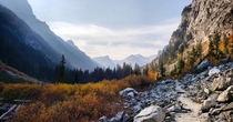 Autumn Gold In The Backcountry Grand Teton NP WY   Taken by Me 