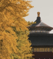 Autumn in Beijing Temple of Heaven