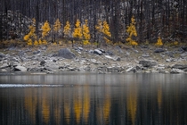 Autumn in Jasper National Park Canada 