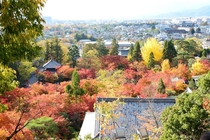 Autumn in Kyoto 