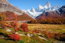 Autumn in Patagonia by Blake DeBock Photography 