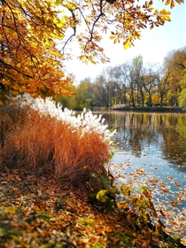 Autumn in Warsaw Poland  Photo by dudiet
