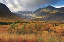 Autumn landscape near Gullesfjordbotn Hinnya in Norway 