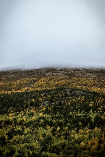 Autumn layers in Norway 