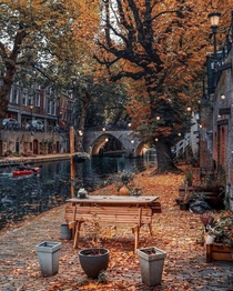 Autumn leaves by the canal in Utrecht 