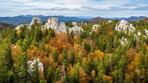 Autumn leaves Samarske stijene Croatia 
