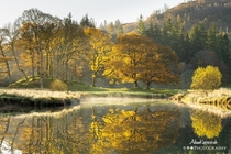Autumn on the River Brathay The Lake District 