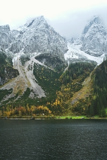 Autumn or winter Gosausee Austria  Instagram forest_breathing