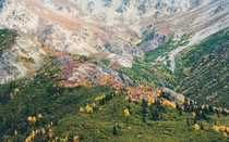 Autumn painted across an Alaskan mountainside 