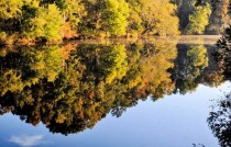 Autumn Reflections North Carolina x