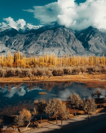 Autumn trees around Katpana lake Baltistan Pakistan 