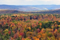 Autumn view of Vermont USA 