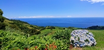 Azores in the summer  x