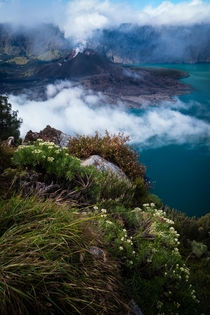 Baby volcano in the crater lake of Mount Rinjani Lombok Indonesia 