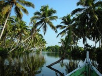 Backwaters of Kovalam Kerala India 