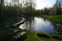 Backyard Pond NY 