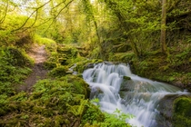 Badger Dingle Waterfall England 