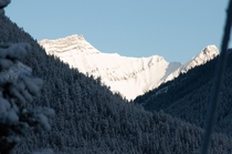 Banff Alberta Canada near Tunnel Mountain Resort 