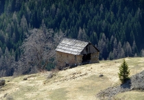 Barn Abandoned and Crumbling in the Alpes-Maritimes of Southeastern France  by Bernard Fourmond
