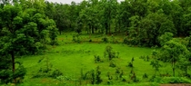 Basic Green India 