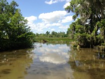 Bayou Country Louisiana 