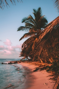 Beach in Guadeloupe 