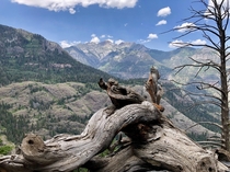 Bear Creek Trail- Ouray Colorado  x