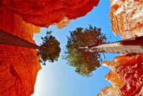 Beautiful Bryce Canyon  Contrast Enhanced