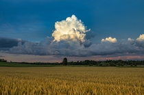 Beautiful clouds over a grain field in the south of Bavaria Germany OC 