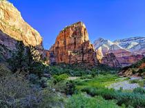 Beautiful colors of Zion National Park in the afternoon 