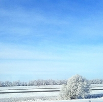 Beautiful day after a snowfall Fargo ND 