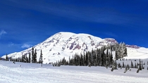 Beautiful day at Mt Rainier National Park in Washington State 