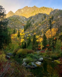 Beautiful Fall Colors in Leavenworth Wa OC 