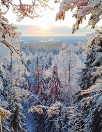 Beautiful Finnish landscape 