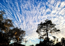 Beautiful Florida sky