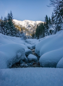Beautiful frozen creek during winter in Austria   - Insta glacionaut