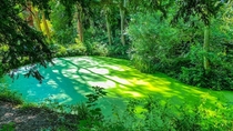Beautiful green lagoon at Fyne Court Somerset England 