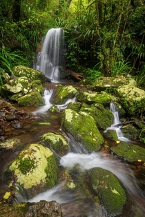 Beautiful mossy waterfall Lamington National Park QLD Australia OC  
