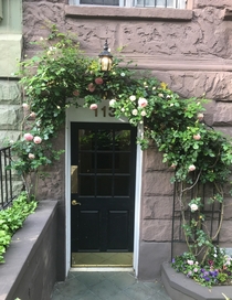 Beautiful roses around a door in NYC 