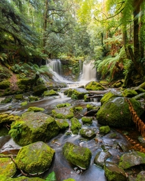 Beautiful shades of green at Horseshoe Falls inside one of Tasmanias UNESCO World Heritage Sites x OC sharni_knibbs