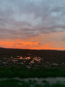 Beautiful sunset captured in Illinois