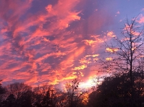 Beautiful sunset in Tyler TX