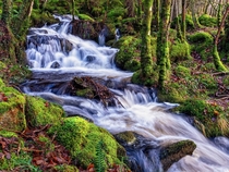 Beautiful waterfalls I found in snowdonia North Wales 